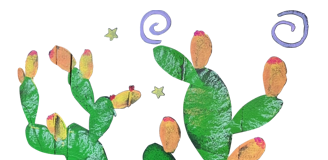 Cactus